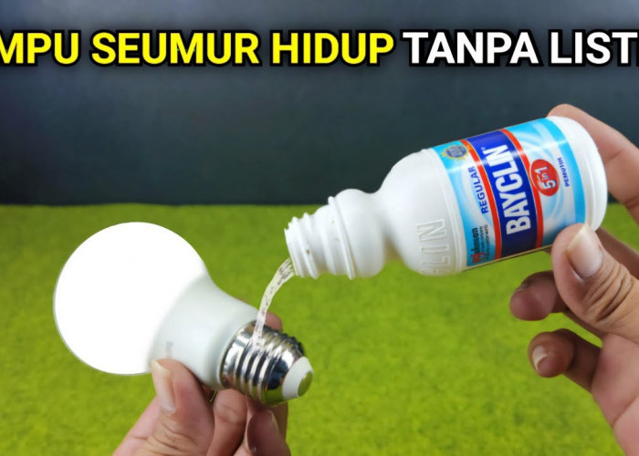 TRIK AMPUH: Begini Cara Bikin Lampu Hidup Selamanya Tanpa Listrik, Bikin PLN KETAR-KETIR!