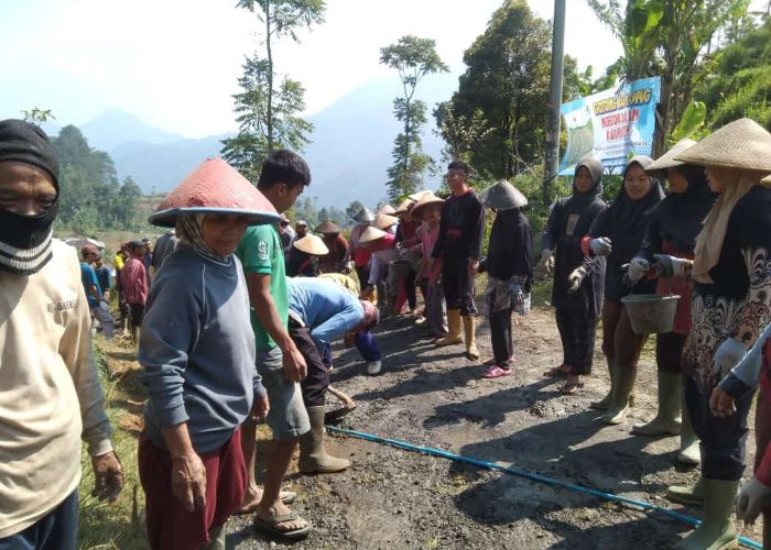 Gerakan Semen Rakyat Jilid 2, Warga Songgodadi Swadaya Perbaiki Jalan Kabupaten yang Rusak