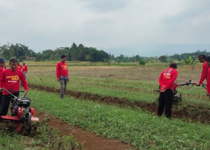 Tenaga Buruh Tani di Pekalongan Kian Langka, Petani Dikenalkan Alat dan Mesin Pertanian Modern