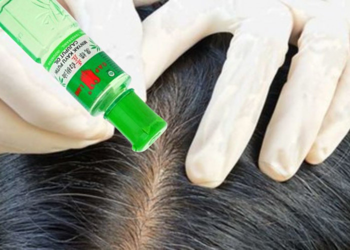 3 Cara Menggunakan Minyak Kayu Putih untuk Rambut  Beruban, Tanpa Perlu Dicabut Uban Hilang Selamanya