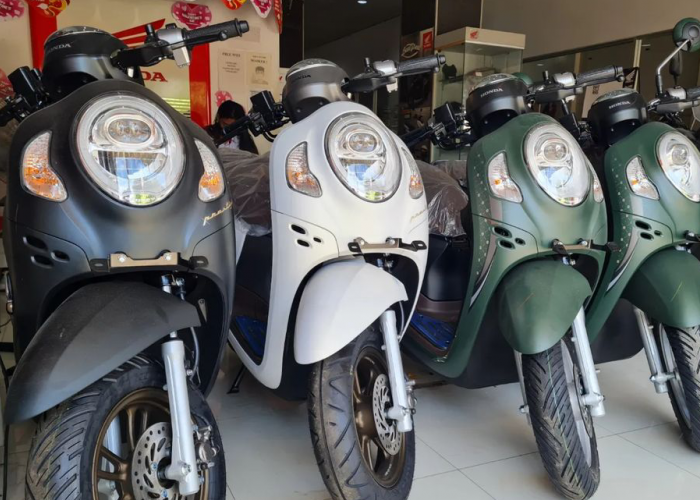 Scoopy Jadi Motor Pilihan Utama Motor Matic di Indonesia, Beat dan Vario 125 Diurutan 2 dan 3