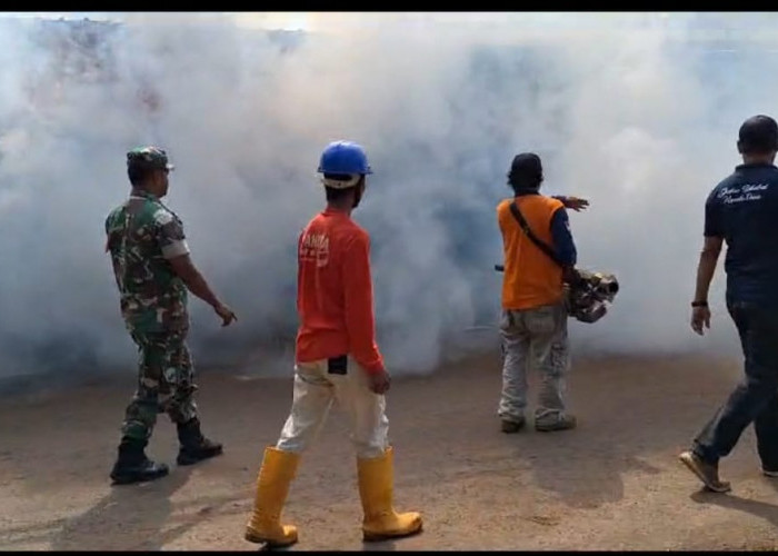 Musim Penghujan Tiba, Awas Potensi DBD