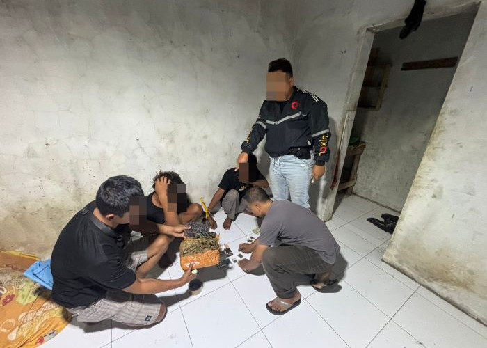 Edarkan Ganja, 2 Nelayan di Wiradesa Pekalongan Ditangkap Polisi