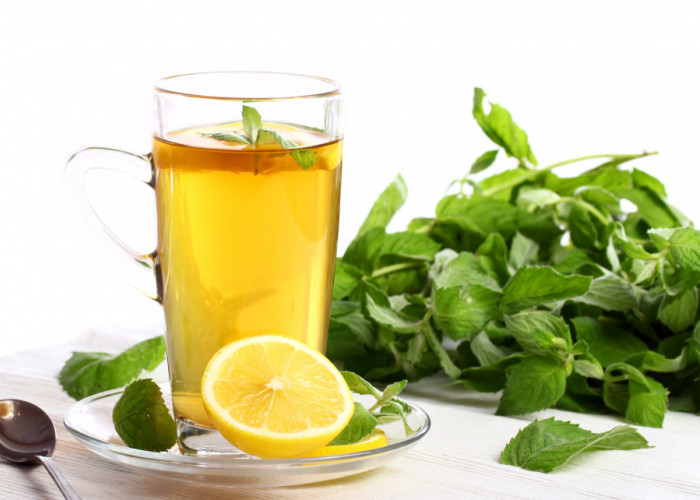 Rekomendasi Minuman Herbal Sehat untuk Diet yang Bisa Tingkatkan Stamina di Musim Hujan 
