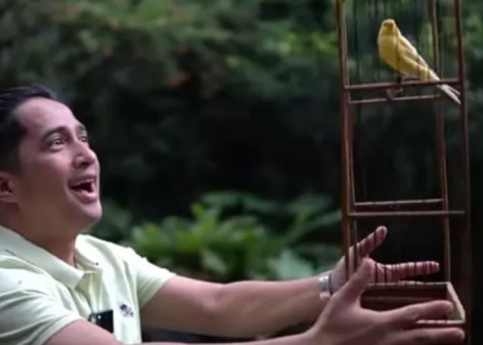 5 Tips Memilih Sangkar Burung Kenari yang Tepat, Pastikan Jangan Salah Pilih Agar Burung Nyaman