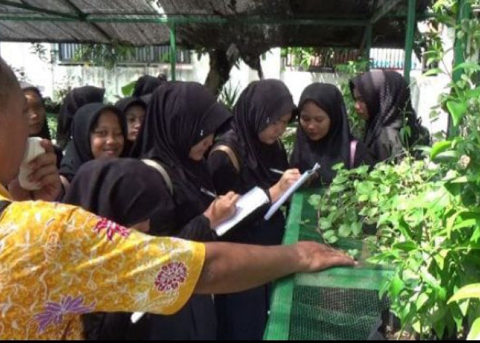 Gelar P5, SMPN 2 Sragi Kunjungi UPTD Balai Pelayanan dan Sertifikasi Jamu 