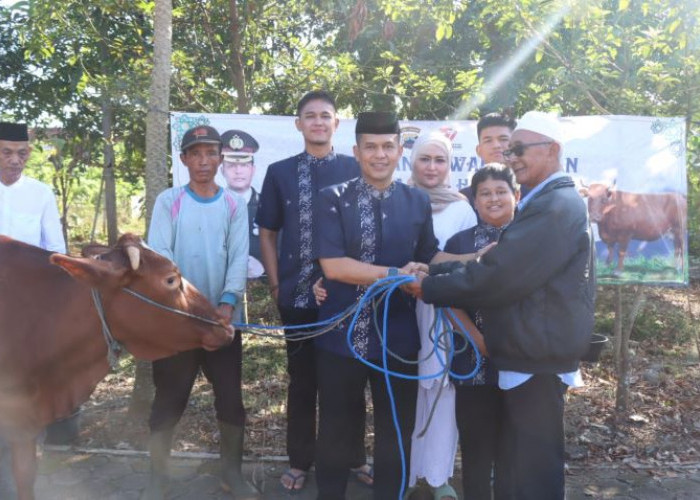 Polres Pekalongan Kurban Presisi dengan 7 Ekor Sapi