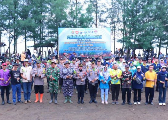 May Day 2026 Tak Identik dengan Unjuk Rasa, Buruh di Pekalongan Tanam 1.000 Mangrove di Pantai Kisik Wonokerto