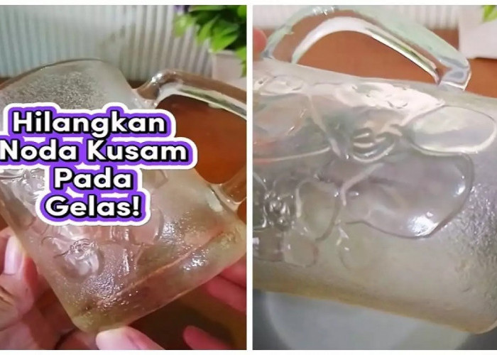 Tanpa Disikat, Ini Trik Cepat Hilangkan Noda Kusam di Gelas Kaca agar Bening Lagi dalam 15 Menit