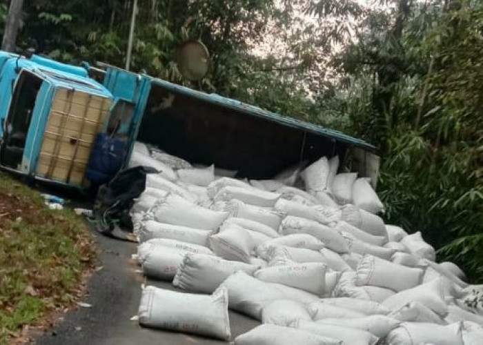 Truk Angkut Pupuk Terguling di Jalur Petungkriyono Kabupaten Pekalongan