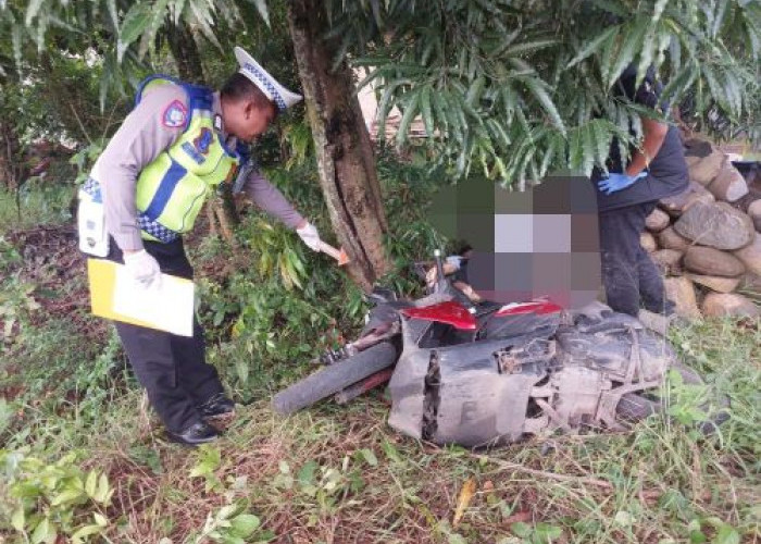 Dua Pemotor Dari Desa Jagung Tewas Tabrak Pohon di Bojong