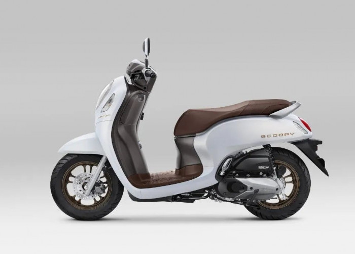 All New Honda Scoopy 2024 Kembali Membuat Heboh Pasar Motor Matic Indonesia Karena Gebrakan yang Ini!