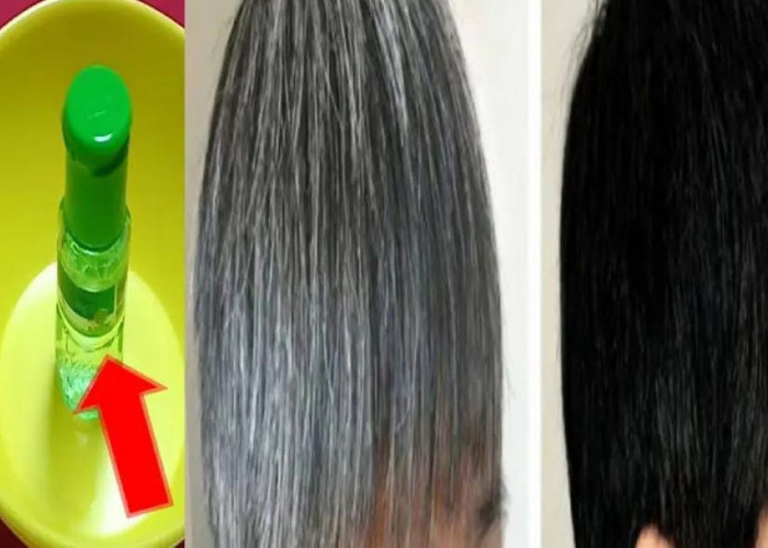 Cara Menghilangkan Uban dengan Minyak Kayu Putih Agar Hitam Permanen Bebas Rambut Putih