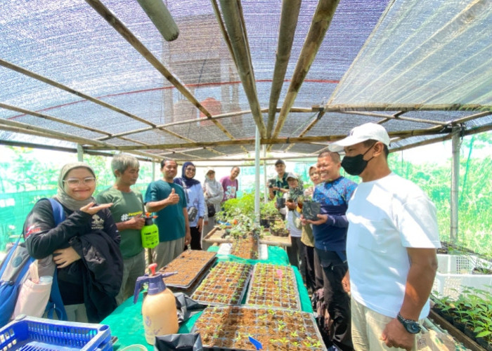 Urban Farming Pekalongan Naik Kelas, Kelompok Tani Kembangkan Produk Bernilai Jual