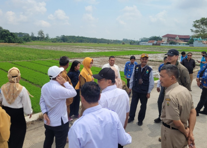 Tim Pusat Lakukan Verifikasi Calon Lokasi PSEL Pekalongan Raya di Kota Pekalongan