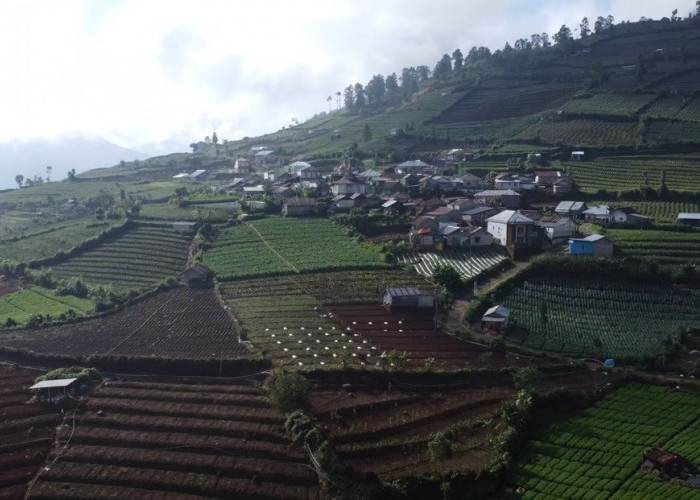 Menapaki Salah Satu Desa Tertinggi di Kabupaten Pekalongan, Kaki Gunung Rogojembangan