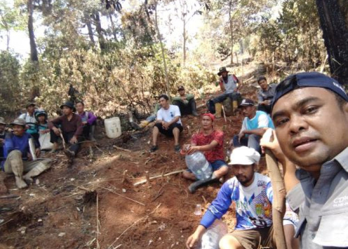 300 Warga Dua Desa dan Aparat Gabungan Diterjunkan, Kebakaran Hutan Pinus di Kalijoyo Berhasil Dipadamkan