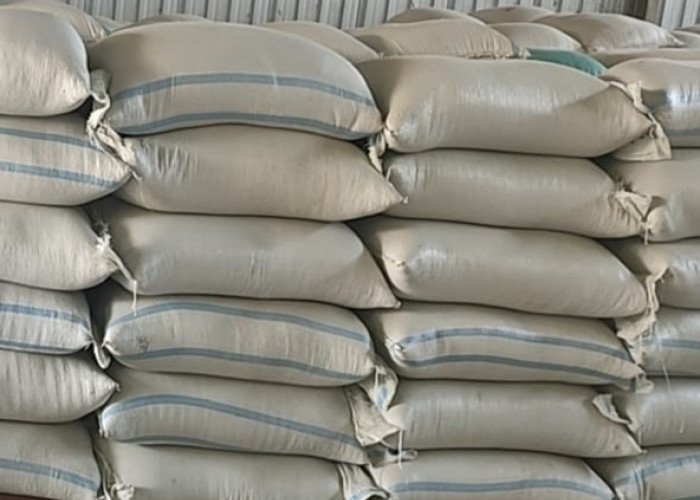 Pemkab Pekalongan Siapkan 34,5 Ton Gabah untuk Antisipasi Krisis Keadaan Darurat