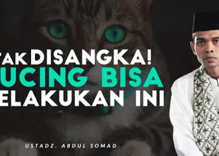Pelajaran Berharga! Kisah Mengharukan dari Ustaz Abdul Somad tentang Kebaikan Seekor Kucing