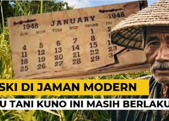 Jangan Langgar Ilmu Kuno Ini Agar Padi Kalian Tetap Subur, Bebas Hama dan Panen Joss!