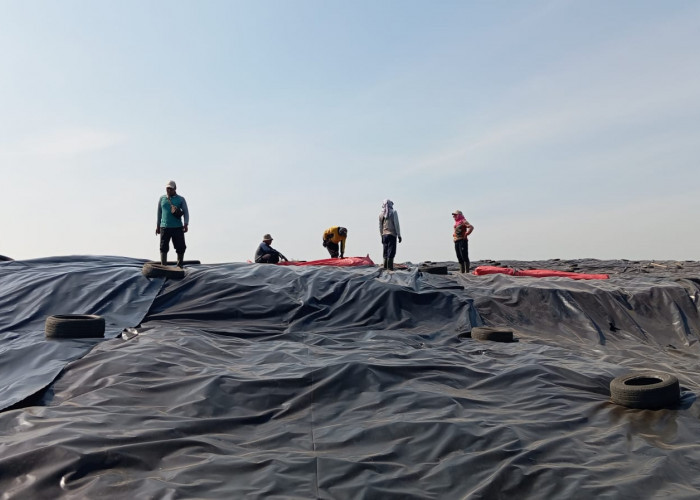 Penutupan Zona Pasif TPA Pekalongan Capai 47 Persen, Pemkot Kejar Target 90 Persen