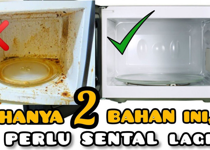 Wajib Tahu! Berikut Tips Membersihkan Microwave dengan Lemon yang Efektif, Oven Bebas Bakteri dan Jamur!