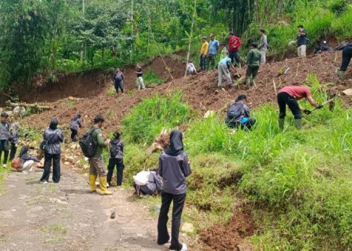Komuniti Forestri Reborn Hijaukan Trajumas, 700 Bibit Ditanam untuk Jaga Sumber Mata Air