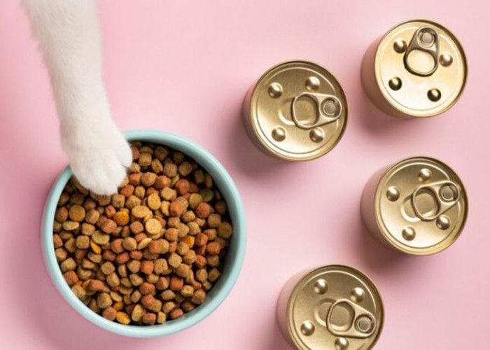 Daftar Harga Pakan Kucing Termurah, 17 Ribu Sudah dapat 1Kg Pakan Penuh Nutrisi dan Gizi Seimbang