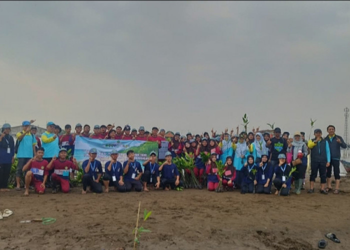 Ekoteologi, MAN 1 Kota Pekalongan Hijaukan Pesisir dengan 1.000 Mangrove