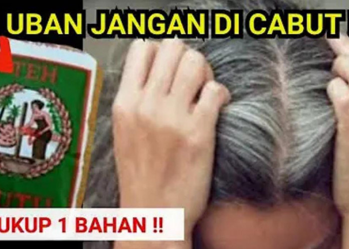 DIY Masker Rambut Penghitam Uban Dari Bahan Dapur, Rambut Putih Langsung Hitam Permanen Dalam 3 Langkah!