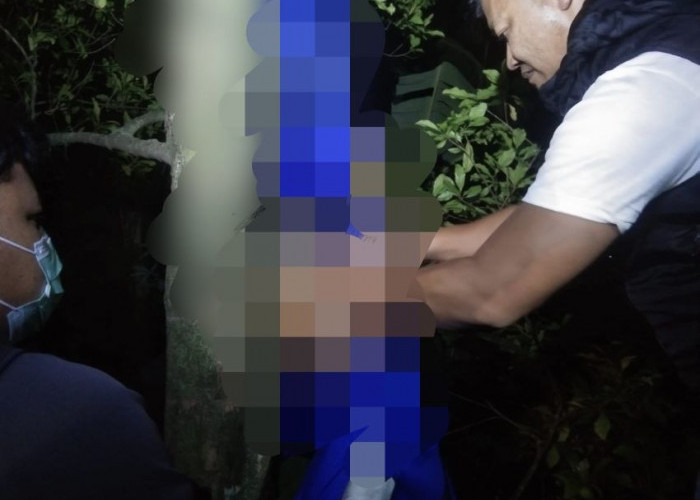 Warga Desa Bojongkoneng Kabupaten Pekalongan Gempar, Seorang Duda Ditemukan Tak Bernyawa di Kebun Cengkeh