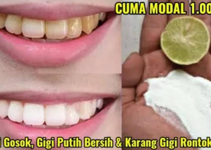 Cara Putihkan Gigi Kuning dan Berkerak Pakai Tambahan 1 Jenis Daun, Rahasia Bebas Bau Mulut dan Plak 
