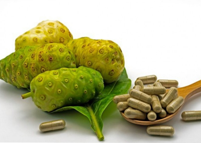 Rekomendasi 5 Obat Herbal Kolesterol Alami Aman untuk Lansia, Terbuat dari Ekstrak Tumbuhan!