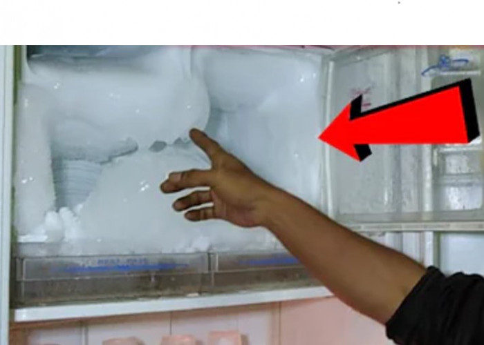 Ternyata 10 Hal Ini Yang Bikin Kulkas Banyak Salju Es, Ibu-ibu Wajib Tahu agar Kulkas Tidak Mudah Rusak!