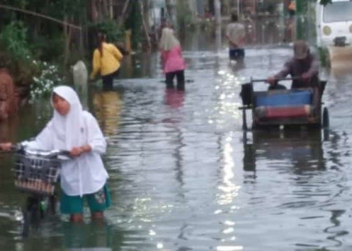 Tanggul Raksasa Tak Mampu Bendung Gelombang Laut, 1 Bulan Jeruksari Terendam Banjir Rob