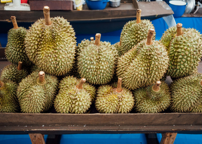 Musim Durian Telah Tiba! Yuk Bikin Berbagai Olahan dari Durian Lezat dan Bikin Nagih