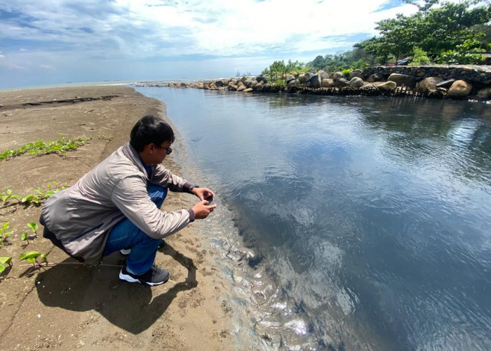 Muara Kali Sono Batang di Pantai Sigandu-Ujungnegoro Tercemar, DLH Batang Masih Telusuri Penyebabnya