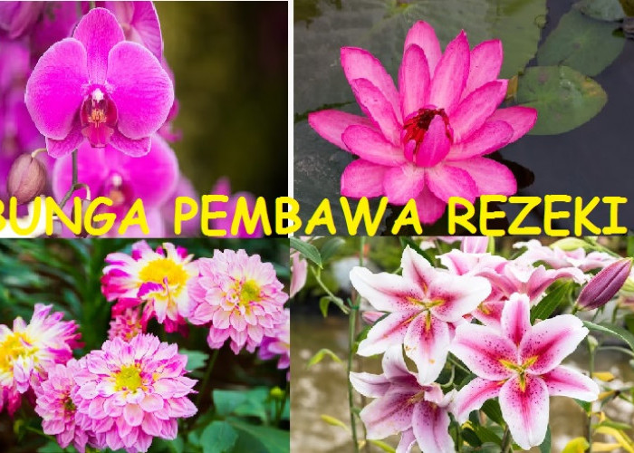 Inilah 6 Bunga Pembawa Rezeki yang Dapat Mempercantik Halaman Rumah, Datangkan Keberuntungan dan Kemakmuran