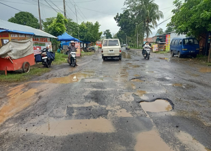 Jalan Provinsi Bojong–Kajen Rusak Parah, Warga Resah dan Korban Terus Berjatuhan