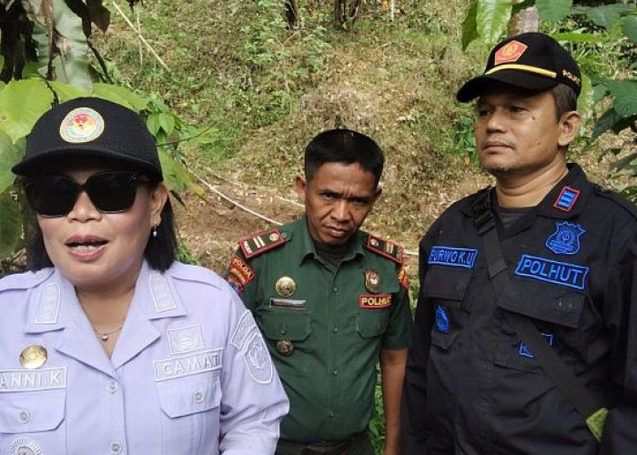 Geger Dua Macan Terekam Kamera Trap di Hutan Mendolo, Camat Lebakbarang Nekat Terobos Jalur Ekstrem