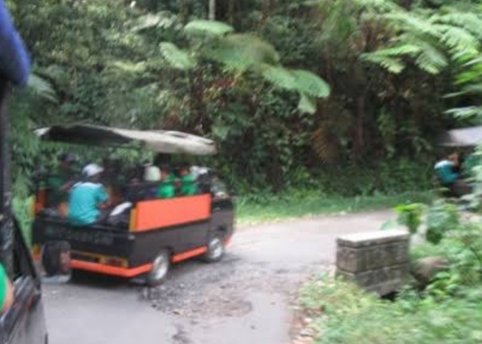 Jalur Petungkriyono Rawan Kecelakaan, Pengguna Jalan Diminta Berikan Klakson saat Tikungan