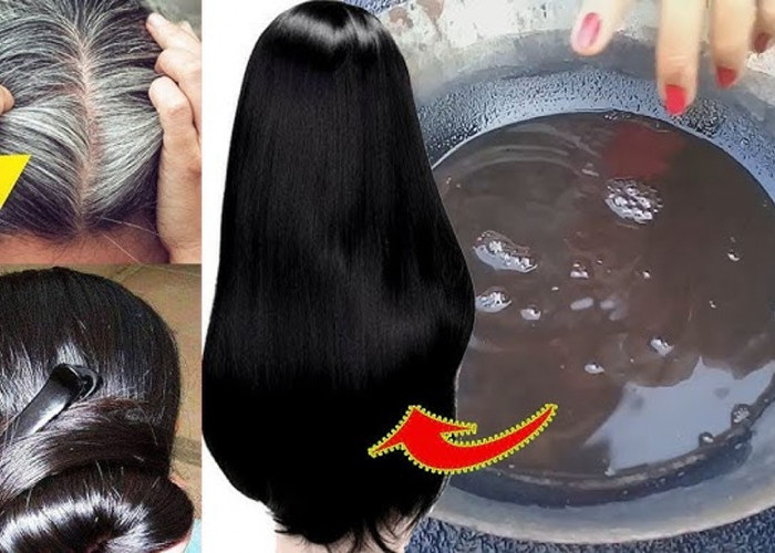 DIY Shampo Kemiri untuk Rambut Beruban, Ampuh Hilangkan Rambut Putih Jadi Hitam Permanen