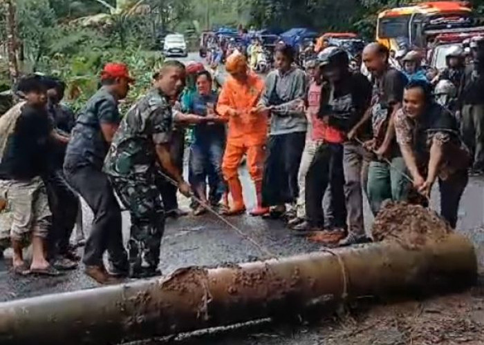 Babinsa Koramil Kajen Bersama Tim Gabungan Evakuasi Pohon dan Tiang Listrik Tumbang di Jalur Kajen-Paninggaran