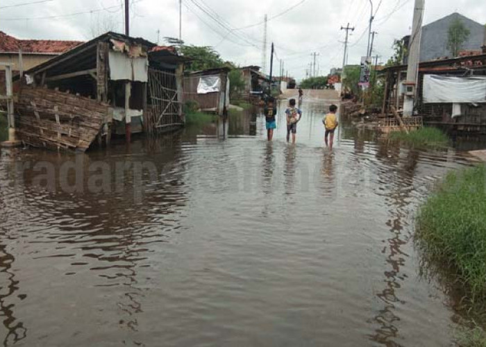 13 Desa di Pesisir Kabupaten Pekalongan Tergenang Banjir