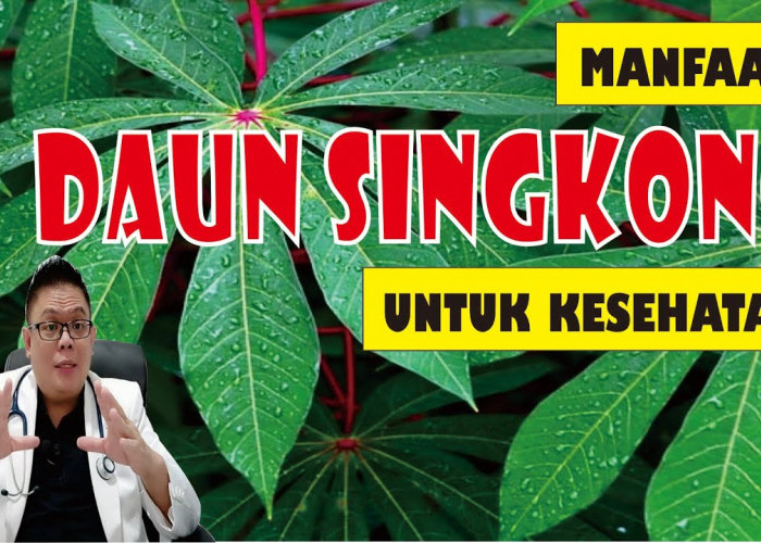 Manfaat Kesehatan dari Satu Lembar Daun Singkong, Apa Saja?