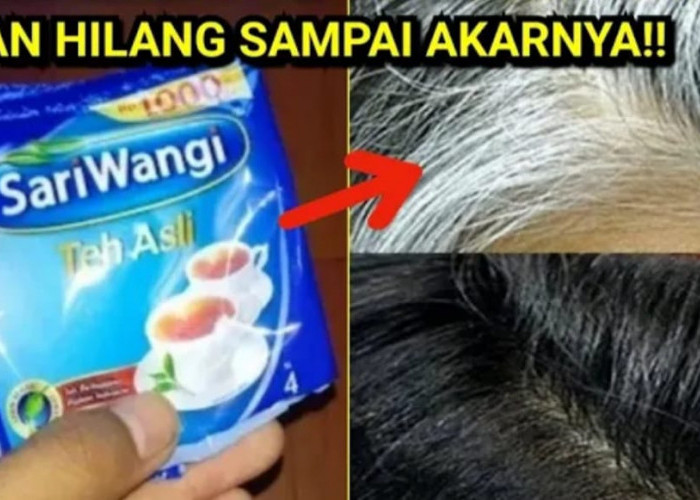 Cara Menghilangkan Uban dengan Teh Secara Permanen, Rambut Jadi Hitam Permanen Hingga Akar Hanya Sekali Usap