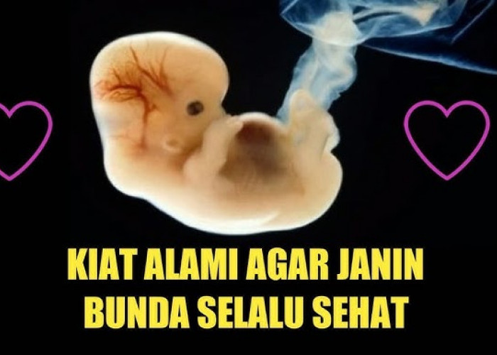 Inilah Cara Menjaga Kesehatan Ibu Hamil dan Janin Dalam Kandungan