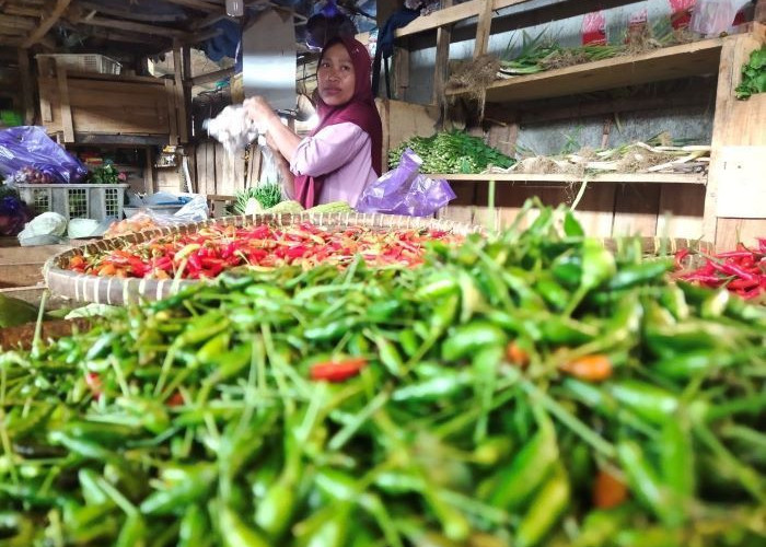 Harga Minyak Goreng Naik, Harga Cabai dan Telur di Pekalongan Turun
