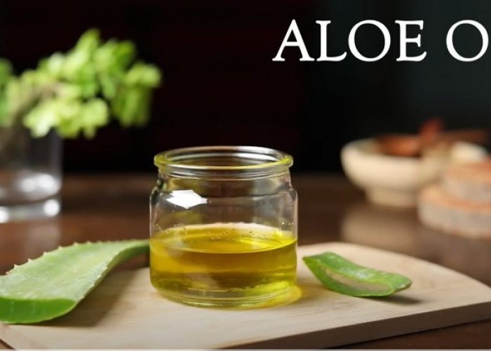 Cara Membuat Minyak Aloe Vera untuk Pertumbuhan Rambut yang Lebih Cepat, Kuat dan Tebal