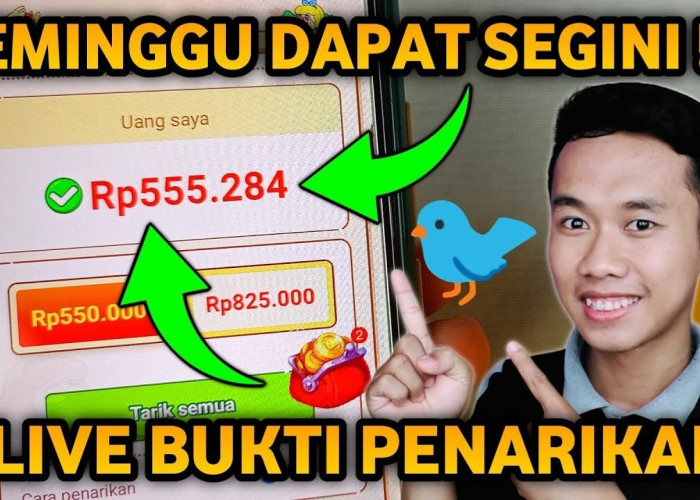 Dapatkan Saldo DANA Gratis Hingga Rp600.000 dengan Game Super Birds! Begini Caranya